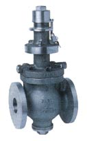 Blowdown Valves