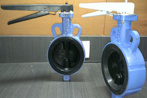 Butterfly Valves