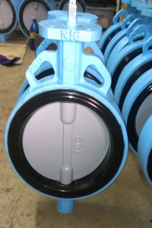 Butterfly Valves