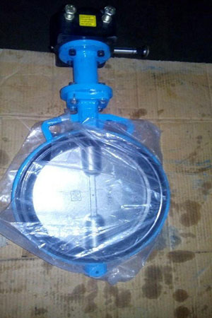 Butterfly Valves