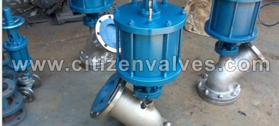 Hastelloy Flush Bottom Valve Suppliers Dealers Distributors in India