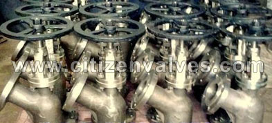 Carbon Steel Flush Bottom Valve Suppliers Dealers Distributors in India