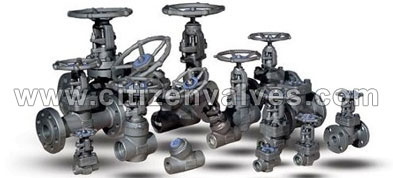 Stainless Steel ASTM A995 Valves Manufacturer in India