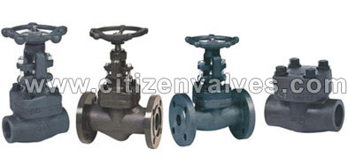 Cast Steel ASTM A352  Valves Manufacturer in India