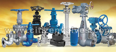 ASTM A494 Valves Manufacturer in India