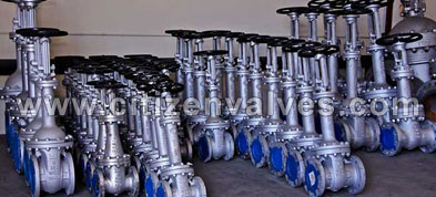 Alloy 20 Forged Valves Suppliers Dealers Distributors in India