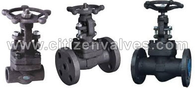 Monel 400 Forged Valve Suppliers Dealers Distributors in India