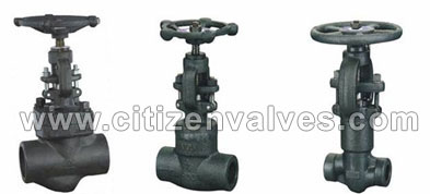 Duplex Steel Forged Valves Suppliers Dealers Distributors in India