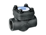 Forged Check Valve