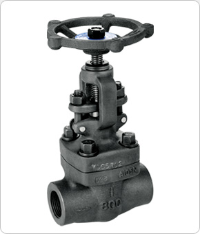 Forged Globe Valve