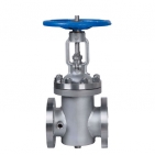 Duplex stainless steel Forged Gate Valves