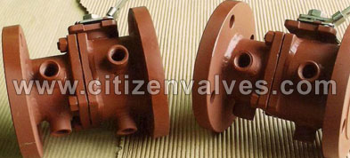 Copper Jacketed Valves Suppliers Dealers Distributors in India