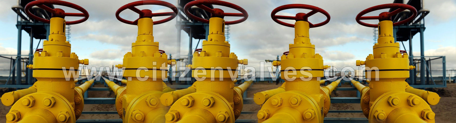 Check Valves Suppliers Dealers Distributors