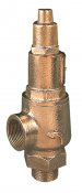 480/485/490 Bailey Birkett Safety Relief Valve