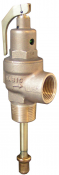 500T Nabic Safety Relief Valve