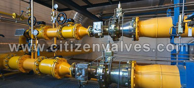 Carbon Steel Safety Relief Valves Suppliers Dealers Distributors in India