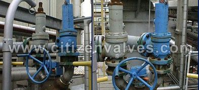 Duplex Steel Safety Relief Valves Suppliers Dealers Distributors in India