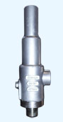 Screwedd End Connection Safety Valve