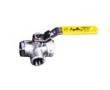 Apollo Stainless Steel Ball Valve Dealers in India, 76-600 Series